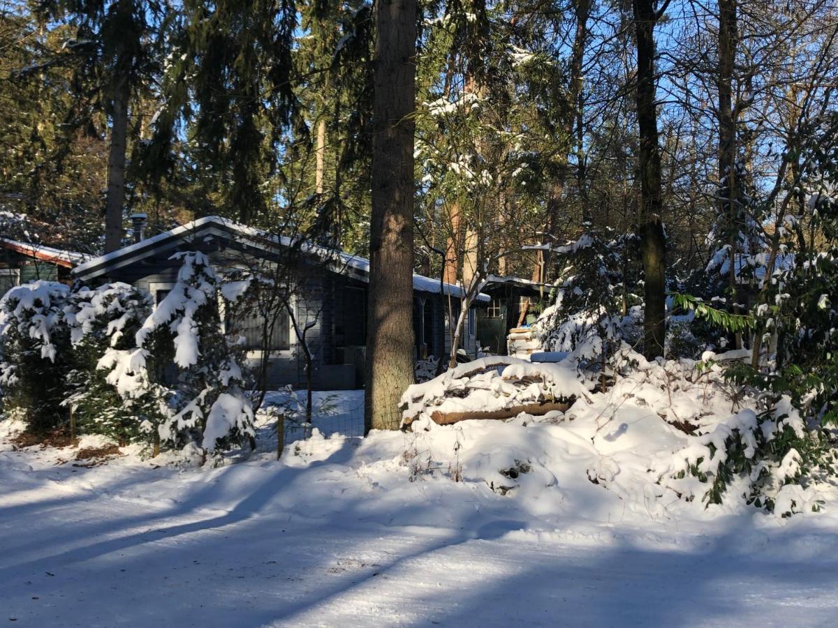 Dreamwoodz - Een Droomchalet Op De Veluwe Laag-Soeren 외부 사진