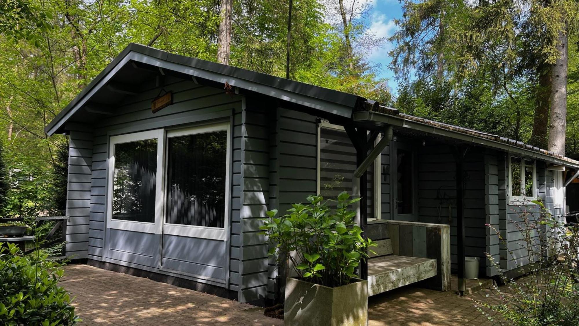 Dreamwoodz - Een Droomchalet Op De Veluwe Laag-Soeren 외부 사진