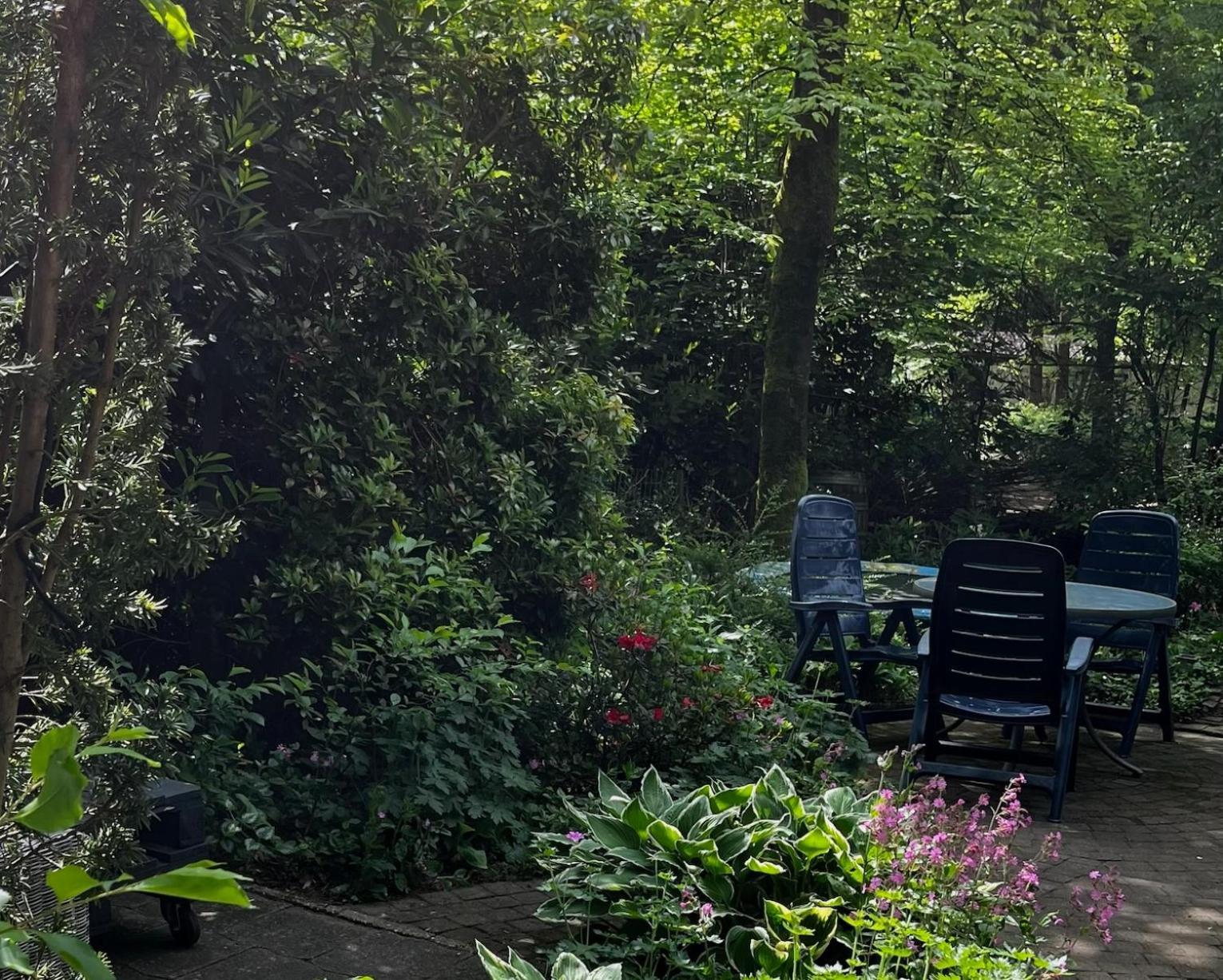 Dreamwoodz - Een Droomchalet Op De Veluwe Laag-Soeren 외부 사진