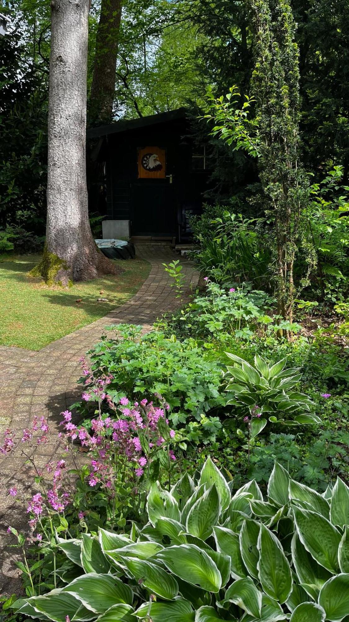Dreamwoodz - Een Droomchalet Op De Veluwe Laag-Soeren 외부 사진