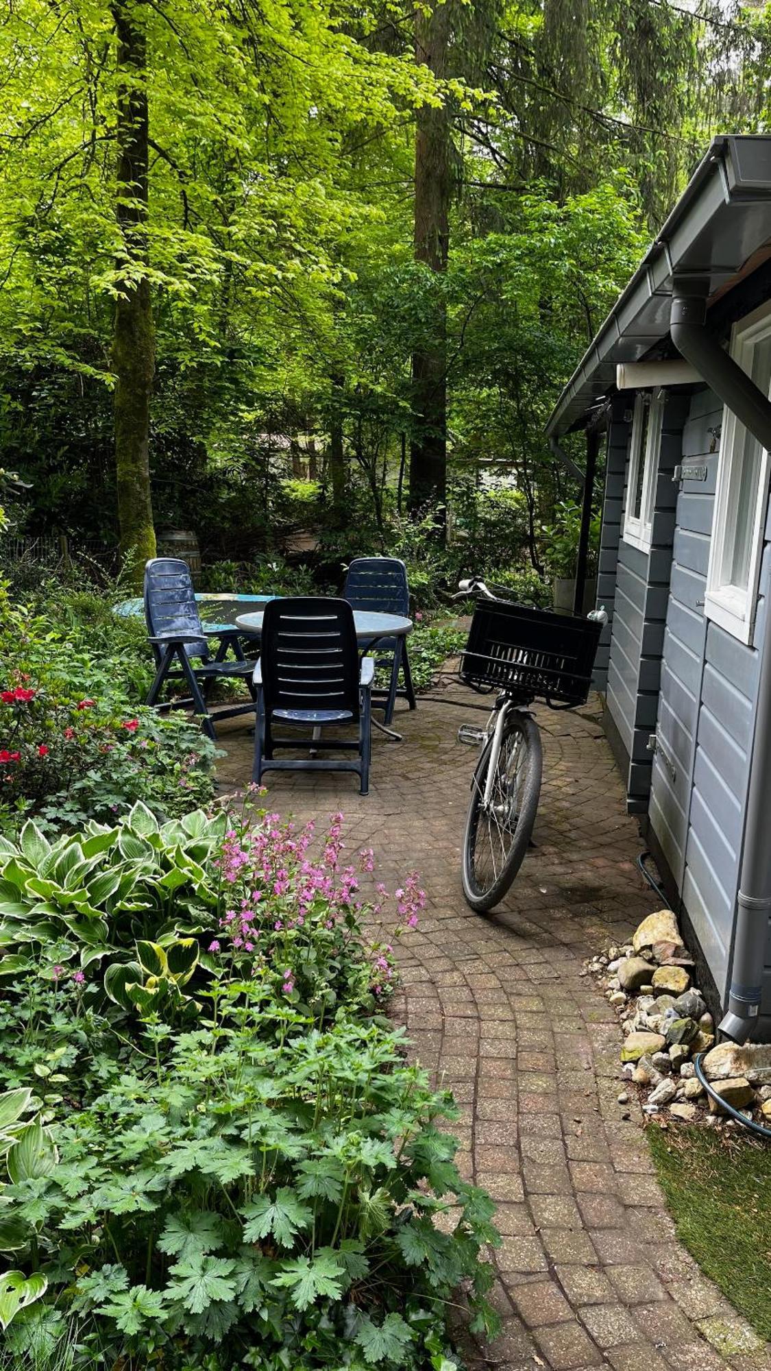 Dreamwoodz - Een Droomchalet Op De Veluwe Laag-Soeren 외부 사진